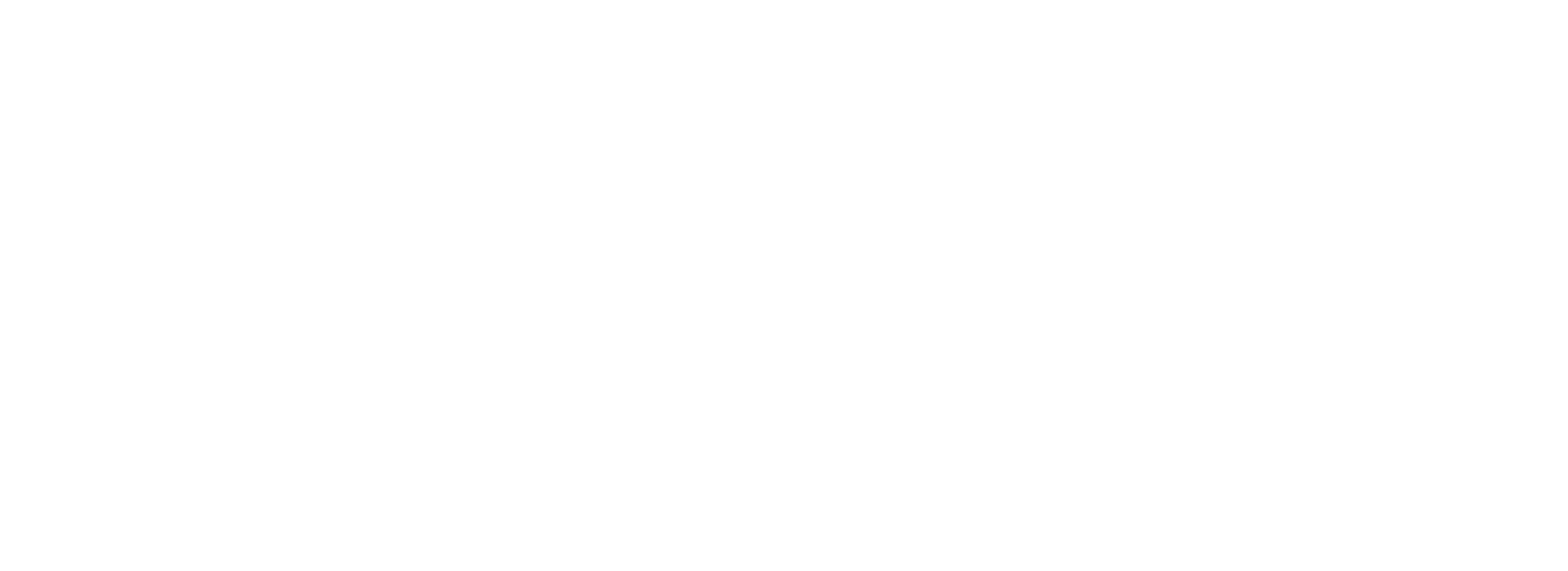 Meu Queridinho Plus - Logo Branco